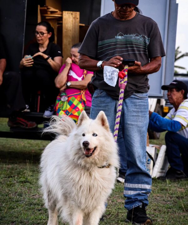 dirtridersfestival_1752849317_3679489220692798736_47699191754