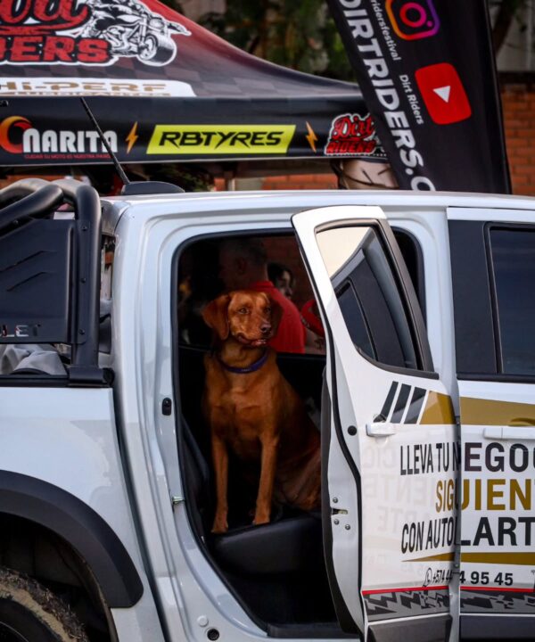 dirtridersfestival_1752849317_3679489220709500896_47699191754